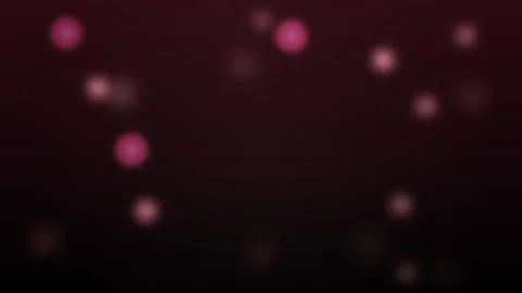 Motion of Pink Bokeh Lights in Dark Background for Dynamic Visual Effect. Stock Footage 342544566