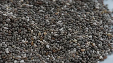 Motion in a plane chia seeds. Stock Footage 97927522