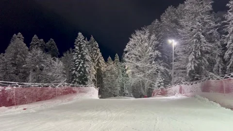 Motion Rolls Down Illumination Slope In Mountains Surrounded Snow Covered Forest Stock Footage 221488798