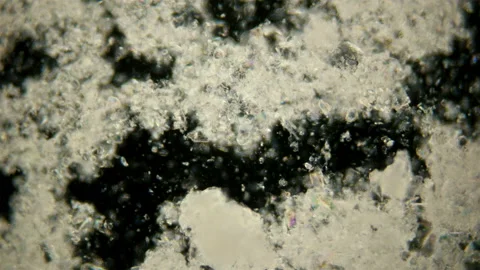 The motion of scorbutus crystals under a microscope, an alcoholic solution of Stock Footage 119882605