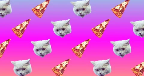 Motion seamless pattern design. Cat and Pizza. Pizza mood concept Stock Footage 100683391