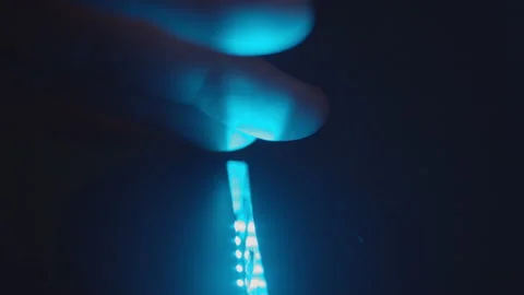 Motion Sensor Lights Stock Footage 234216422