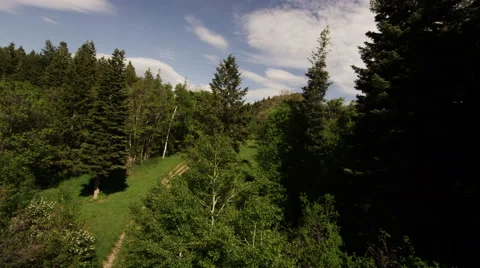 Motion shot across trees and bushes on a mountainside with dirt bike trails 動画素材 52499752