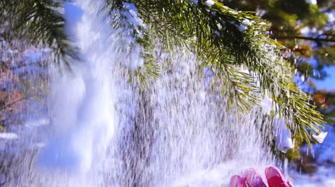 Motion shot of pine tree in the winter snowy forest Видео 978596