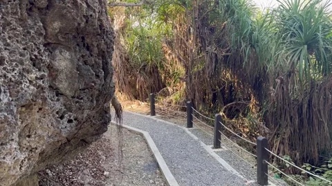Motion shot of walking limestone cave coastal trail, handheld, 4k. Stock Footage 270073168
