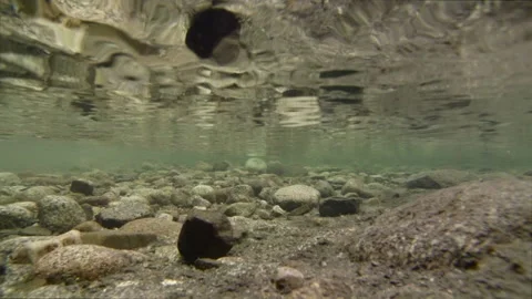 Motion Slider Underwater. Stock Footage 87537021