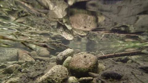 Motion Slider Underwater. Stock Footage 87537070