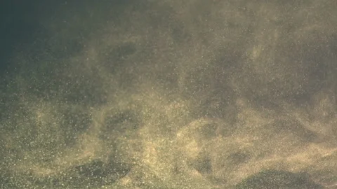 The motion of small particles. slow motion Stock Footage 160058842