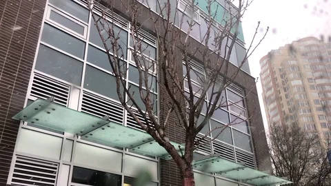 Motion of snowing winter day with empty leaf tree in front of new building Stock Footage 73942572