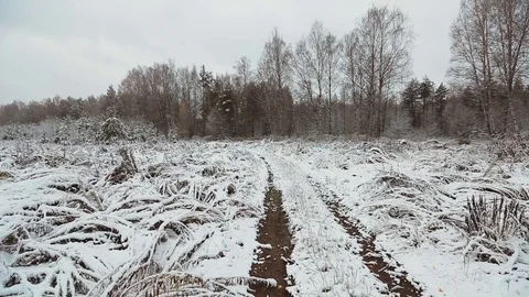 Motion on a snowy road in winter forest Stock Footage 82774080
