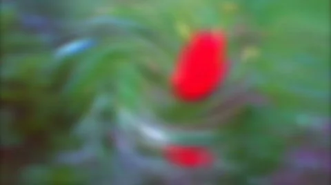 Motion Spiral Video stock 237725