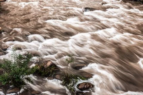 Motion stream of mud river Stock Photos