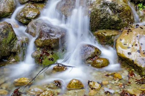 A motion of a stream. Stock Photos