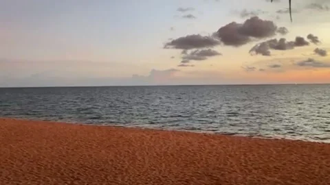 The motion of sunset sky and sea on the orange beach with winding coconut leaves Stock Footage 196979134