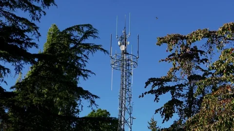Motion of telecommunications tower equipment and repeater antenna dishes Stock Footage 71386572