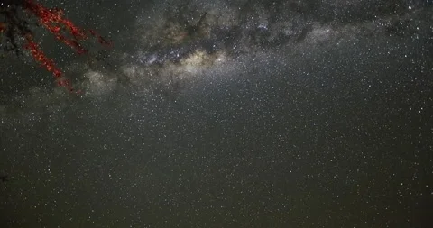 Motion time elapse of the milky way stars with trees in foreground,Botswana Vídeo Stock 140584873