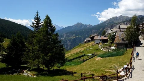 Motion time lapse chamois Stock Footage 114139475