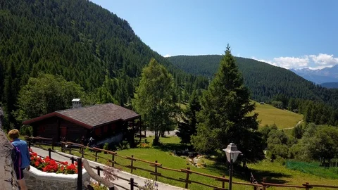 Motion time lapse of chamois Stock Footage 114139479