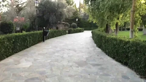 Motion Time lapse Shot in a Park Stock Footage 100480018