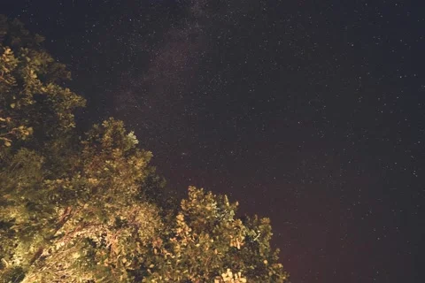 Motion time lapse video of night sky, galaxy and stars 스톡 동영상 160479112