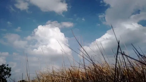 Motion Timelapse of Cloud in Blue and Gray Sky before Rain. Rural Scene. Dry Stock Footage 111468281