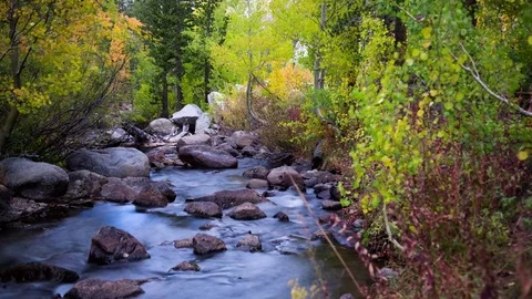 Motion Timelapse of a Creek with Fall Colors Video stock 76642902