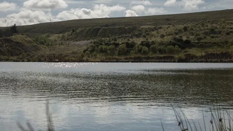 Motion Timelapse Lake with man made Grass Embankment/Wasteland with Reflections Stock Footage 84448935