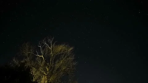 Motion Timelapse of night starry sky over winter tree silhouette,deep universe Stock Footage 231554358
