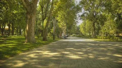 Motion timelapse in the park Видео 58470869