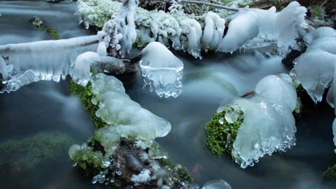 Motion timelapse of a small river in winter with frozen wood and moss Stock Footage 148964288