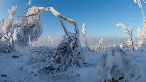 Motion timelapse in a snowy forest in Germany Stock Footage 227848555