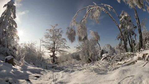 Motion timelapse on the top of the mountain Wild Garden in Winter Stock Footage 227865965