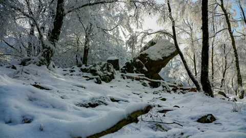 Motion timelapse at a wonderful wintry day of stone formation called mousetra Stock Footage 227860879