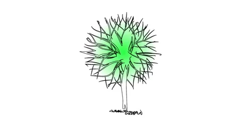 Motion video of abstract tree on white background Stock Footage 148132287