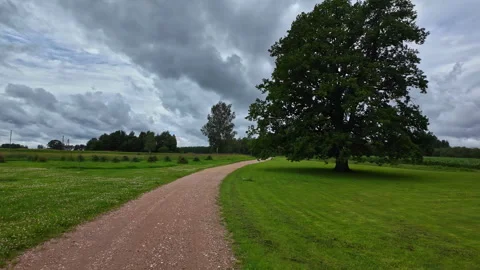 Motion video of Latvia flag waving high on a green field under a cloudy Stock Footage 282002247