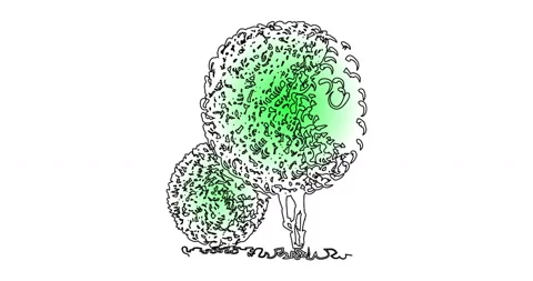 Motion video Two fantasy trees with round crowns Stock Footage 148132655