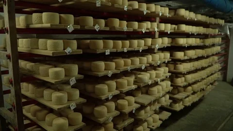 Motion view of cheese storage room. Stock Footage 119772320