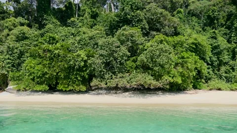 Motion View on Empty Exotic Tropical Beach with Jungle and Turquoise Sea Water Stock Footage 160030186