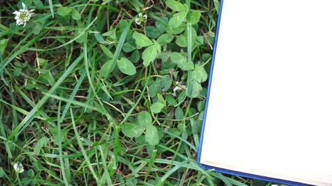 Motion view notepad on the green grass in park Video stock 93344709