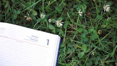 Motion view notepad on the green grass in park Stock Footage 93344822