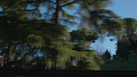 Motion view of a tree-lined hilltop with houses, Madrid, Spain Video stock 302444006