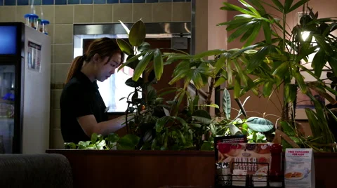 Motion of waitress printing bill for customer inside Denny's restaurant Video stock 67976047
