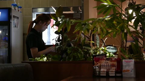 Motion of waitress printing bill for customer inside Denny's restaurant Video stock 125976476