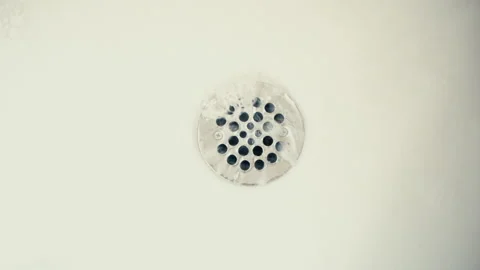 How to Stop Hair Going Down the Shower Drain - Royalty Plumbing