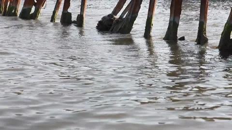 Motion of the waves on the sea breakwater Video stock 8519393