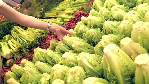 Motion of woman buying fresh lettuce inside superstore with 4k resolution Stock Footage 83183035