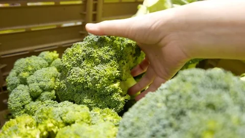Motion of woman's hand picking broccoli inside superstore with 4k resolution Video stock 80006894