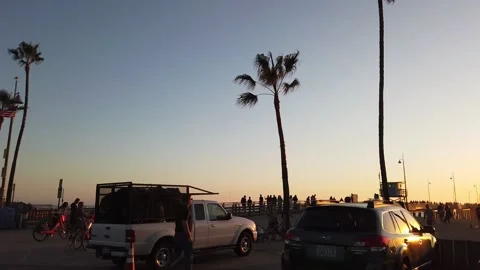 Motionlapse venice beach palmtrees Video stock 165942833