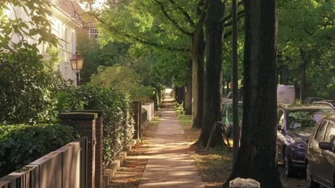 Motionless Shot Without People Of Long Sidewalk On Sunny Day Hamburg, Germany Stock Footage 276494205