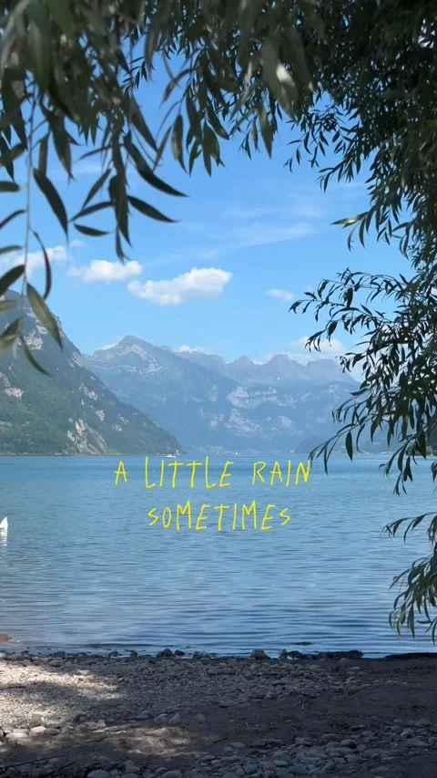 Motivational quote reel vertical format video life commitment nature lake Stock Footage 331617075